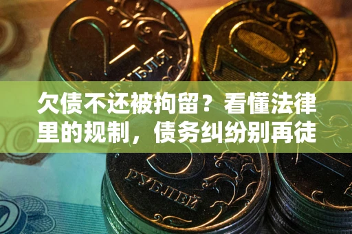 武汉欠债不还被拘留？看懂法律里的规制，债务纠纷别再徒劳奔波