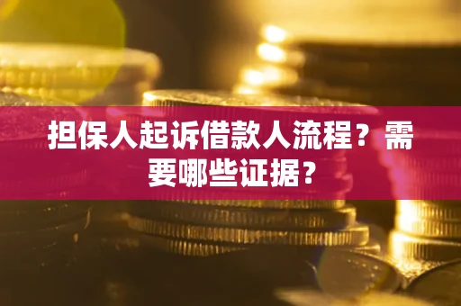 武汉担保人起诉借款人流程？需要哪些证据？