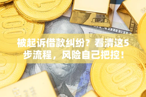 武汉被起诉借款纠纷？看清这5步流程，风险自己把控！